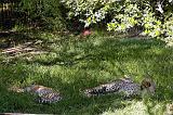 _DS400_05Apr16_0307_DxO