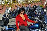 CC_Xmas_20081206_060
