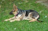 20040706_Rommel_003