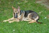 20040706_Rommel_004