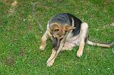 20040706_Rommel_005