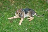 20040706_Rommel_006