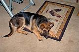 20040706_Rommel_008