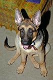 20040706_Rommel_009