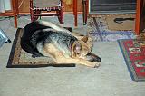 20050203_Rommel_010