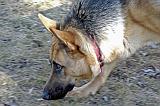 20050204_Rommel_012