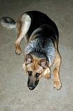 20050204_Rommel_013