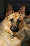 20050225_Rommel_016