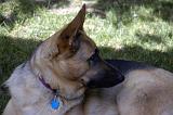 20050725_Rommel_018