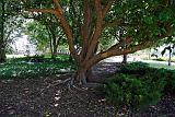 vmp_2009-06-04_41